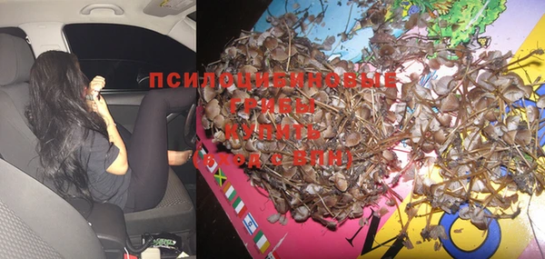 прущий лед Алексин