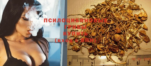 тгк Гвардейск
