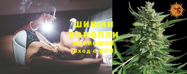PSILOCYBIN Алзамай
