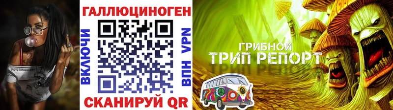 купить  цена  Бежецк  Галлюциногенные грибы прущие грибы 